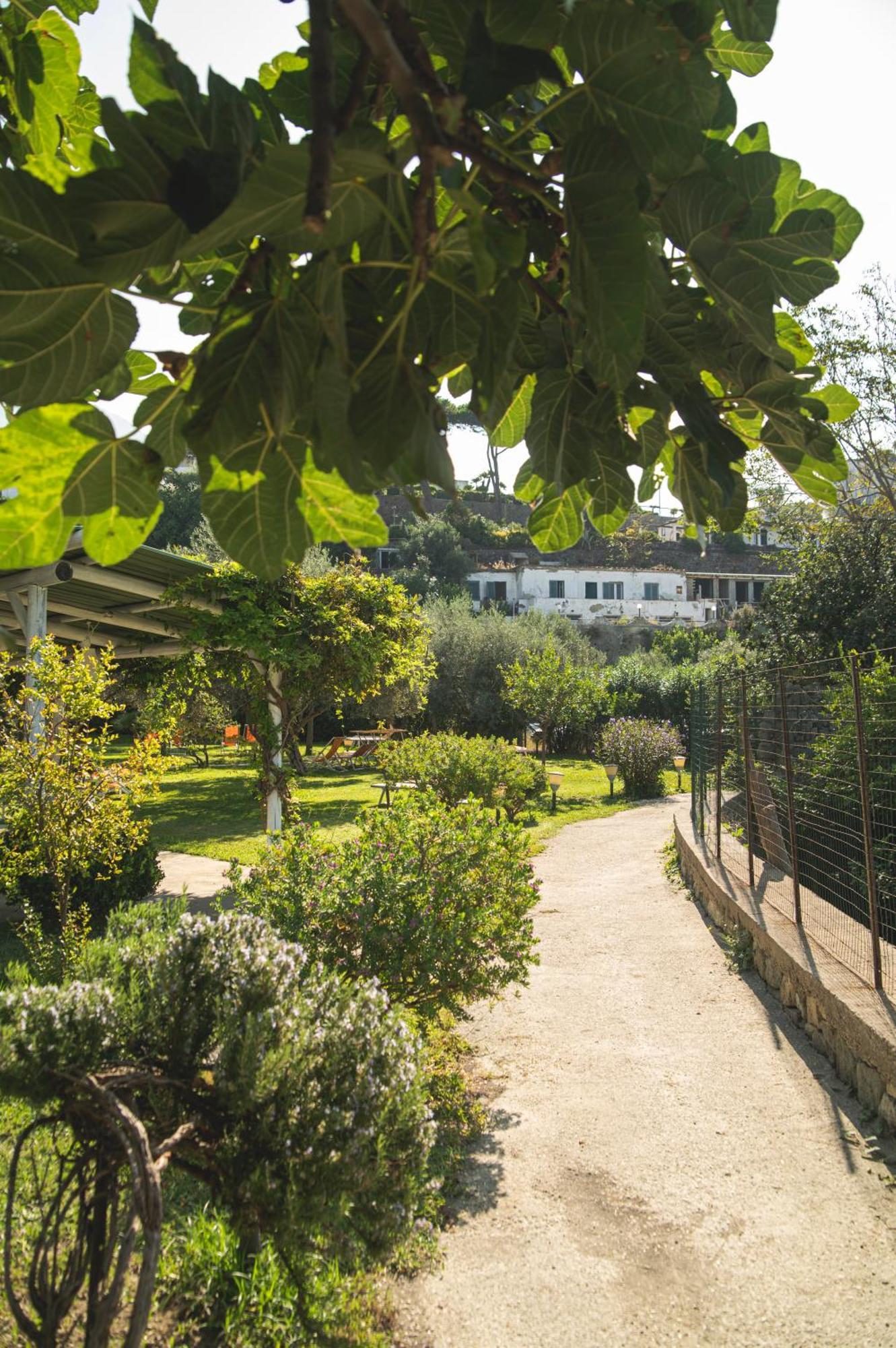 Hotel Park Victoria Forio di Ischia Exteriör bild